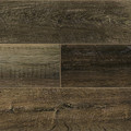 60001 Mesquite Divoký