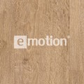 EPL134 st54 detail